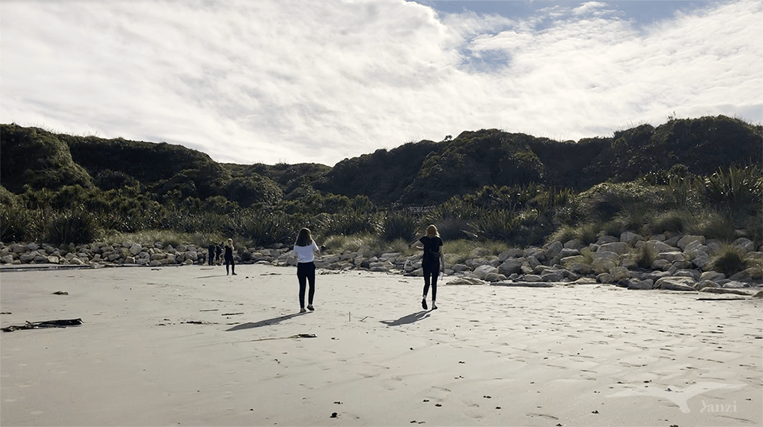 【紐西蘭D13-1】逆風角步道Cape Foulwind Walkway｜野生海狗！