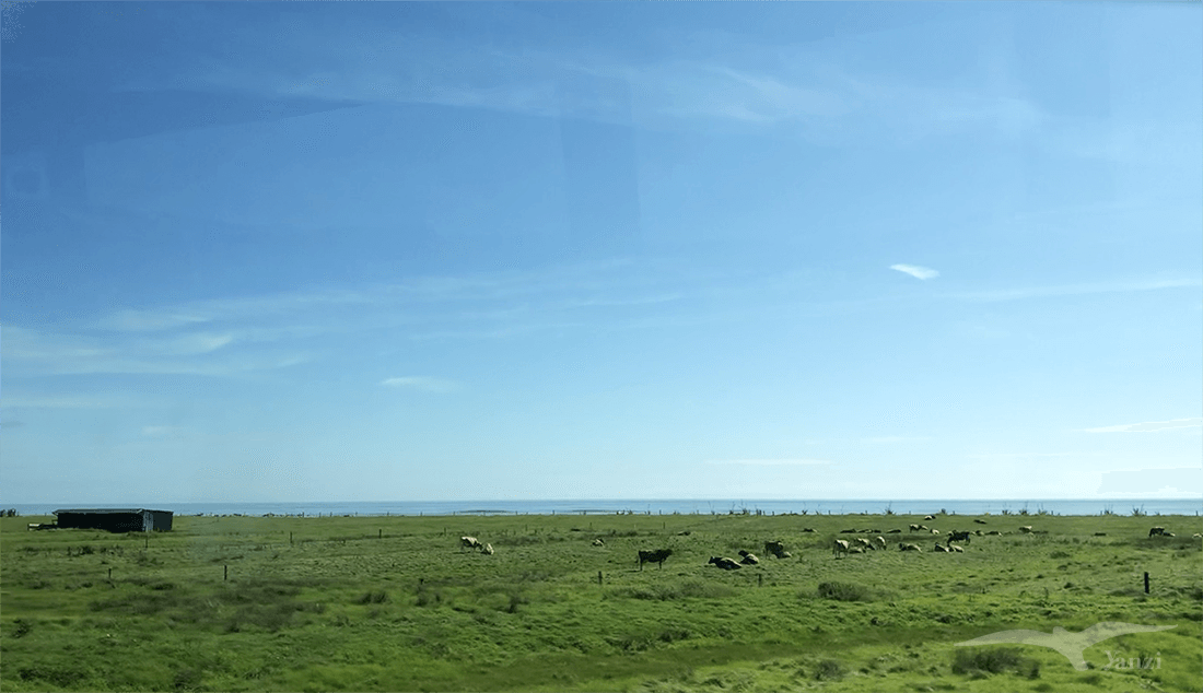 【紐西蘭D13-3】格雷茅斯小鎮Greymouth|寧靜悠閒 - 第30張圖 【紐西蘭D13-3】格雷茅斯小鎮Greymouth|寧靜悠閒