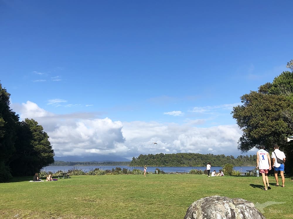紐西蘭南島 馬希納普阿湖 Lake Mahinapua 草皮