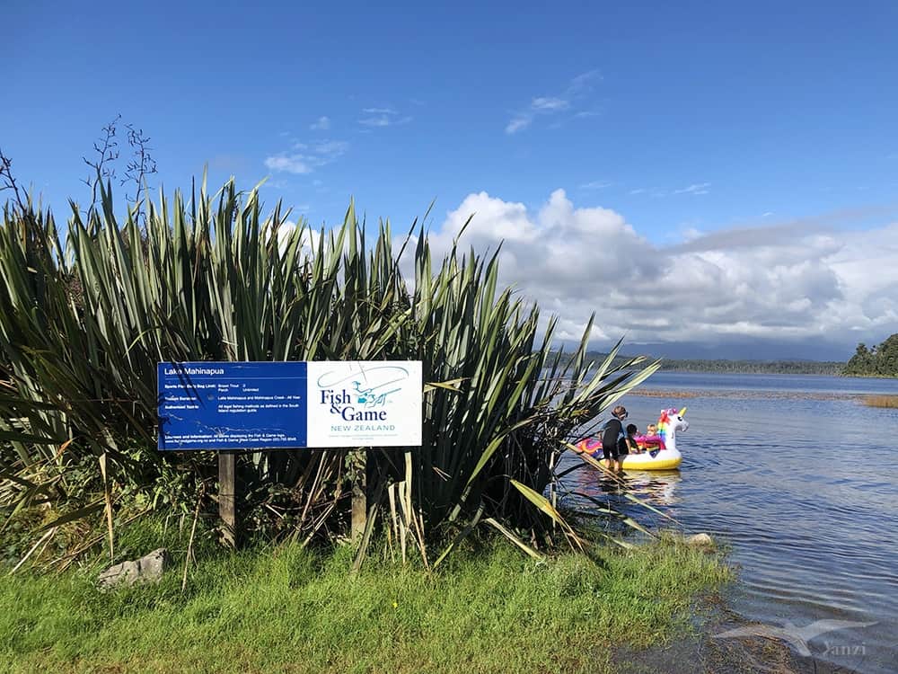 紐西蘭南島 馬希納普阿湖 Lake Mahinapua