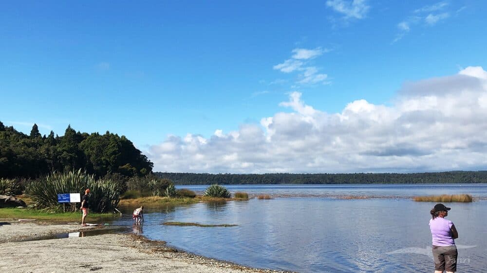 紐西蘭南島 馬希納普阿湖 Lake Mahinapua