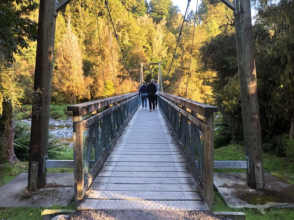 【紐西蘭D16上】馬松森湖Lake Matheson|早晨陽光下的靈氣湖景 - 第16張圖