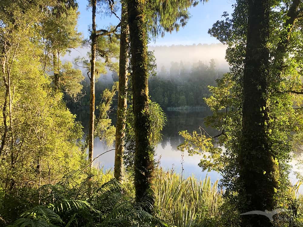 【紐西蘭D16上】馬松森湖Lake Matheson|早晨陽光下的靈氣湖景 - 第23張圖