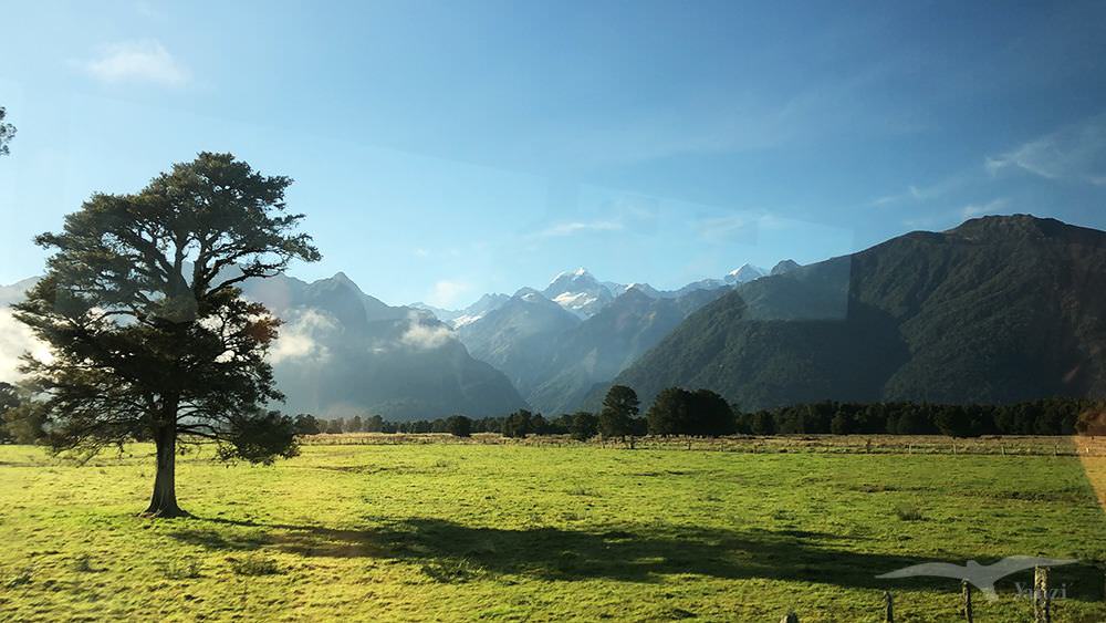 【紐西蘭D16上】馬松森湖Lake Matheson|早晨陽光下的靈氣湖景 - 第44張圖
