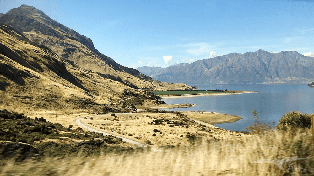 【紐西蘭D16下】瓦納卡湖Lake Wanaka｜湛藍靜謐的悠閒午後