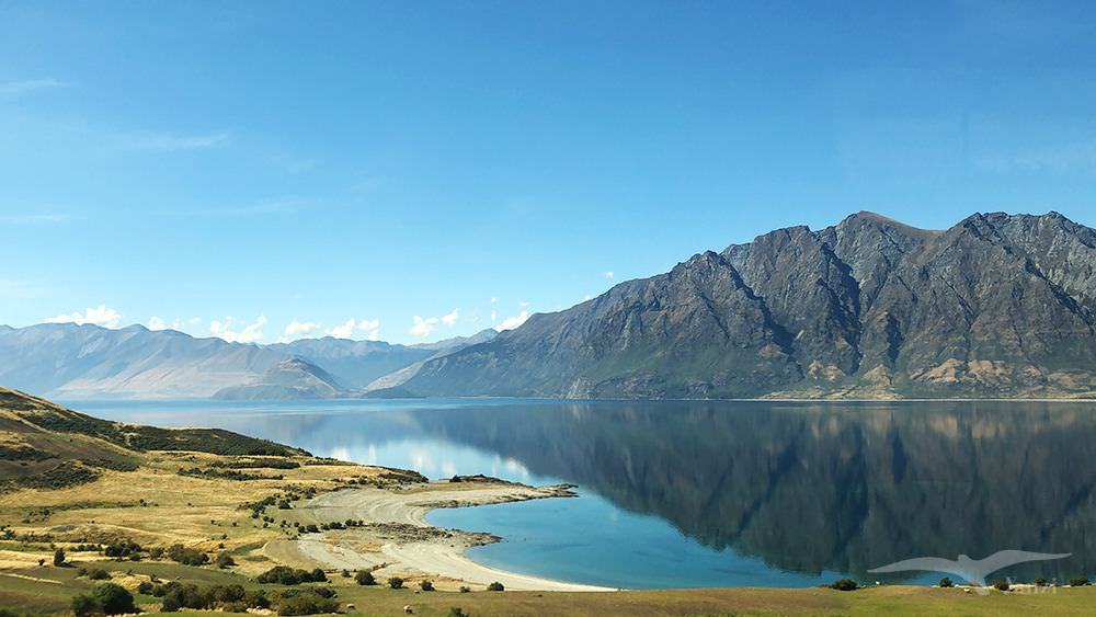 【紐西蘭D16下】瓦納卡湖Lake Wanaka|湛藍靜謐的悠閒午後 - 第13張圖