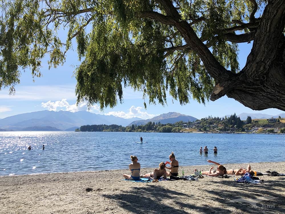 【紐西蘭D16下】瓦納卡湖Lake Wanaka|湛藍靜謐的悠閒午後 - 第47張圖