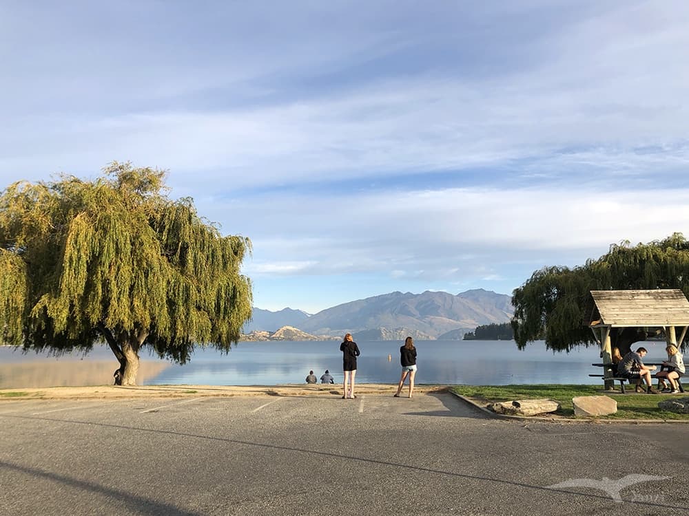 【紐西蘭D16下】瓦納卡湖Lake Wanaka|湛藍靜謐的悠閒午後 - 第75張圖