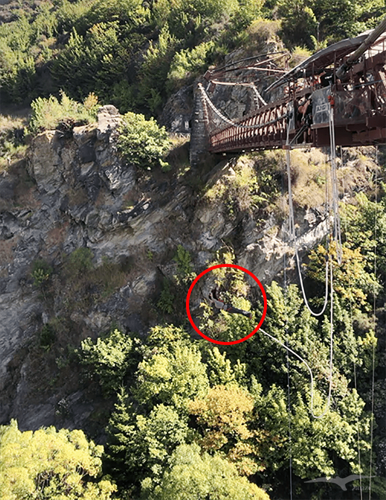 皇后鎮Queenstown 高空彈跳Kawarau Bridge Bungy
