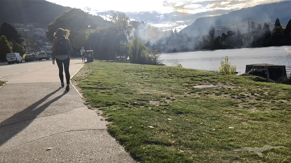 【紐西蘭D18】皇后鎮Queenstown｜爬山去Queenstown Hill Walking Track