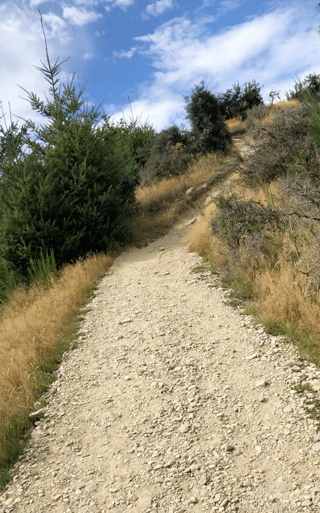 皇后鎮山丘步道Queenstown Hill Walking Track