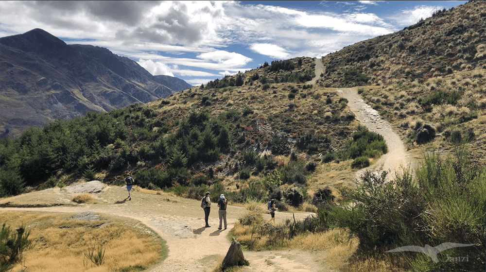 【紐西蘭D18】皇后鎮Queenstown｜爬山去Queenstown Hill Walking Track