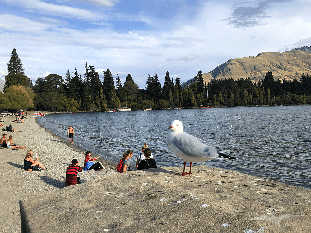 【紐西蘭D22】皇后鎮Queenstown六日遊行程|市區+郊區景點 - 第44張圖