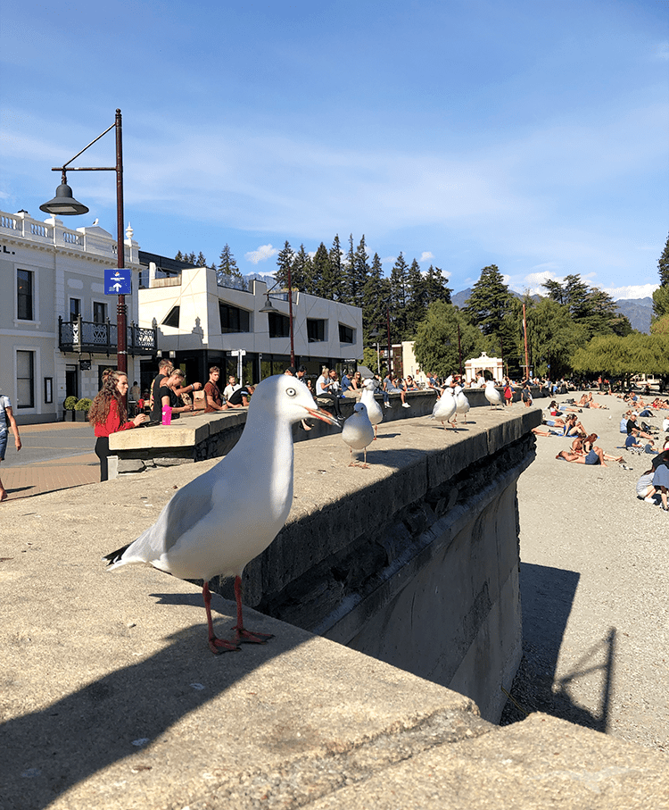【紐西蘭D22】皇后鎮Queenstown六日遊行程|市區+郊區景點 - 第42張圖