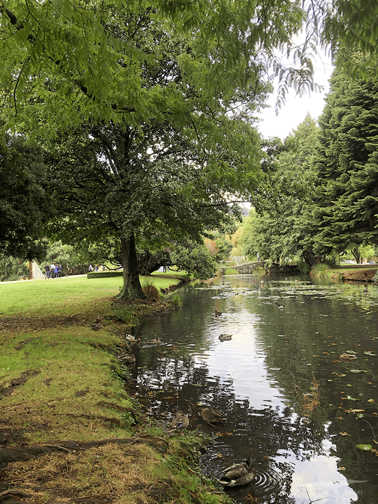 皇后鎮花園步道 Queenstown Gardens Walkway 池塘