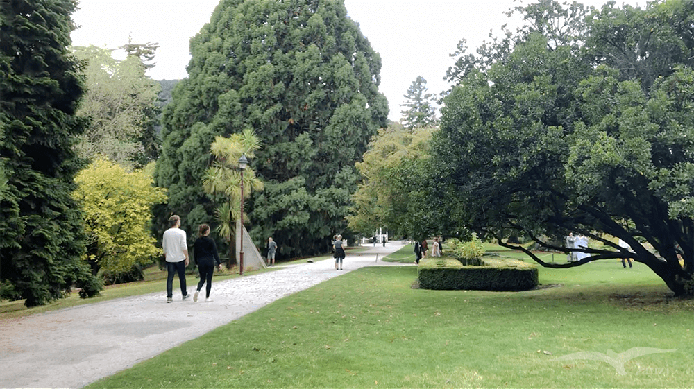 【紐西蘭D20-21】皇后鎮花園Queenstown Gardens｜雨後漫步