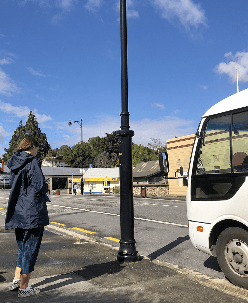 Kiwi experience 小巴士