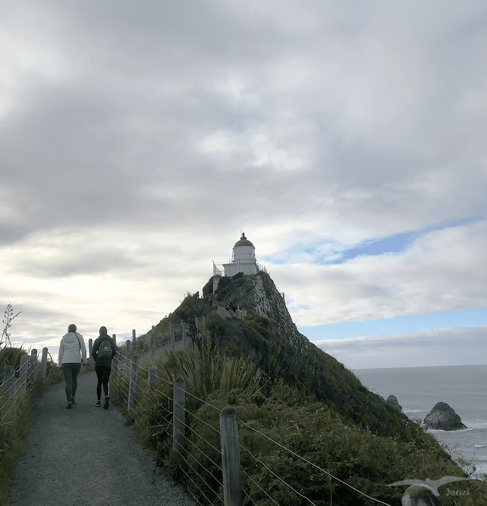 紐西蘭 努蓋特角燈塔 NZ Nugget Point Lighthouse