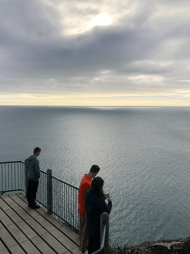 紐西蘭 努蓋特角燈塔步道 NZ Nugget Point Lighthouse Walk 觀景平台