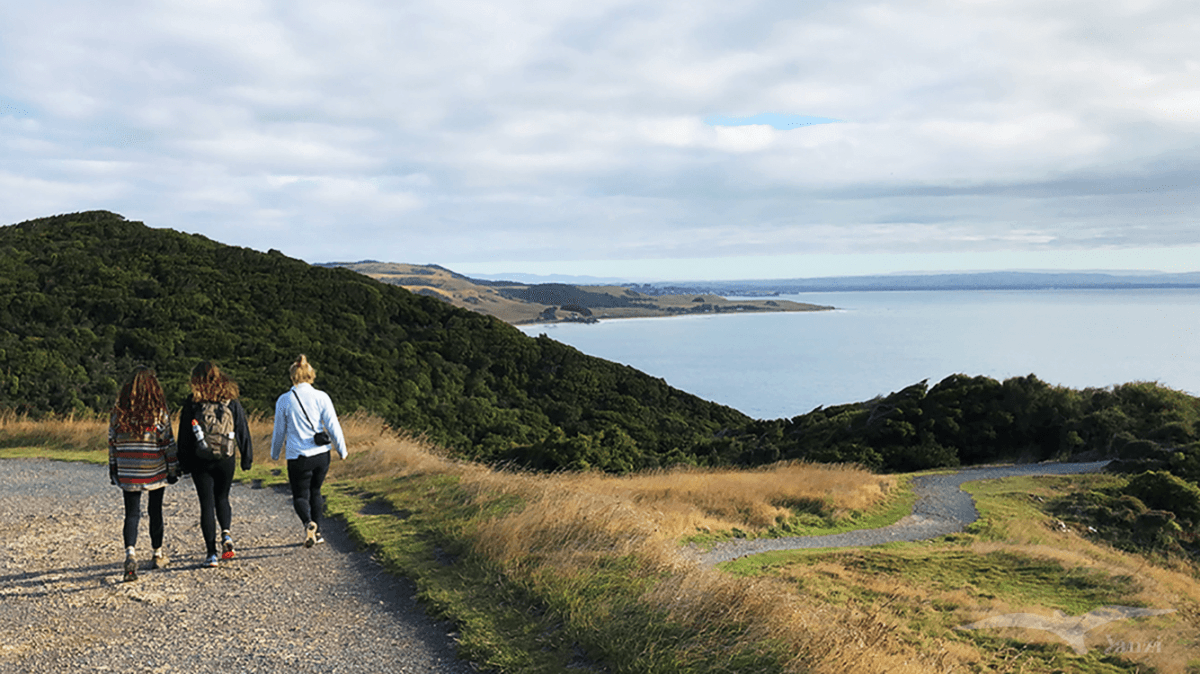 【紐西蘭D24上】因弗卡吉爾Invercargill景點｜燈塔步道+瀑布步道