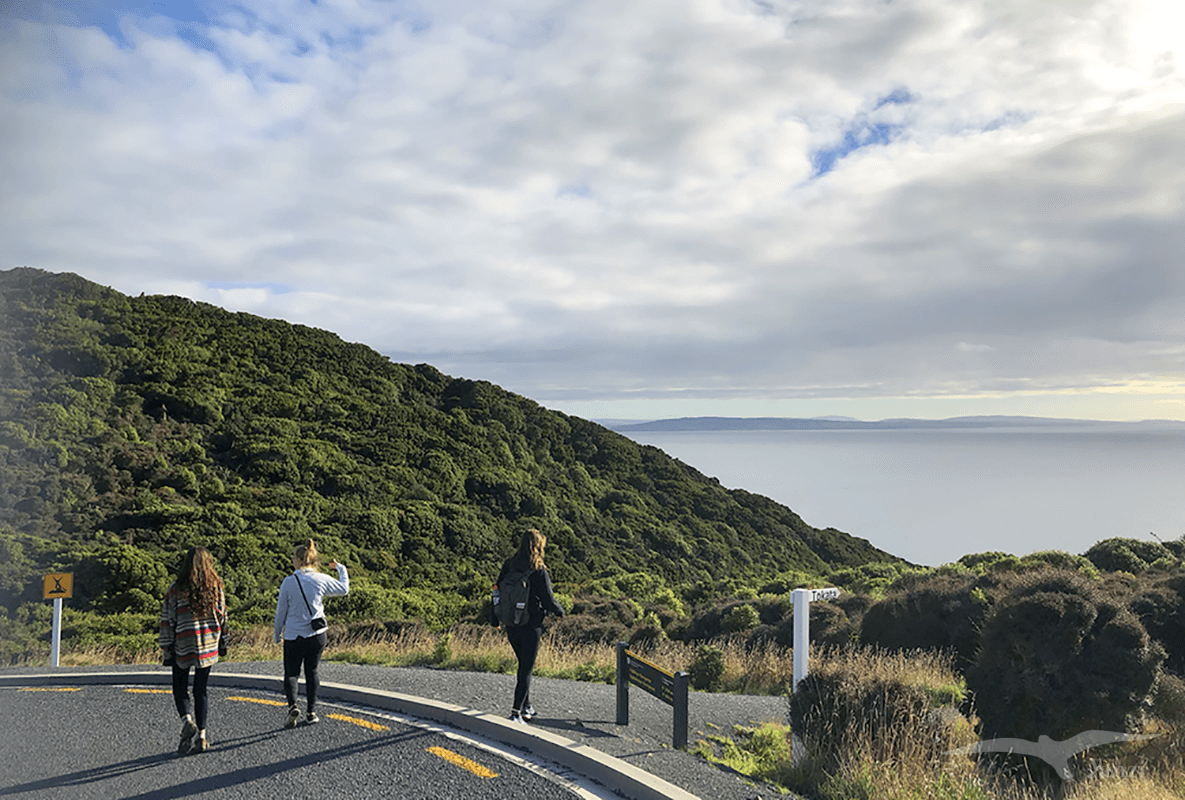 【紐西蘭D24上】因弗卡吉爾Invercargill景點｜燈塔步道+瀑布步道