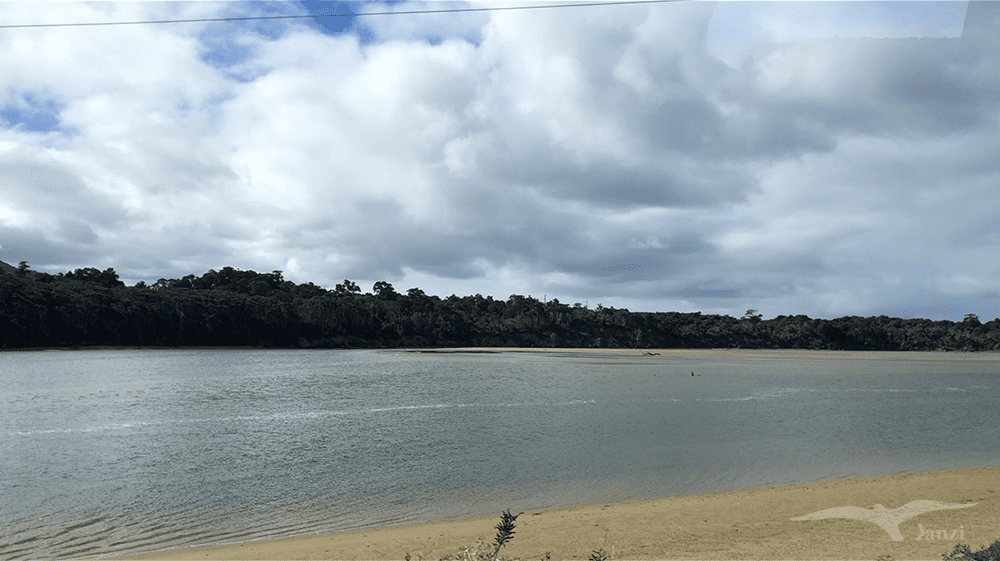 IMG 2476（Tahakopa River）截圖1
