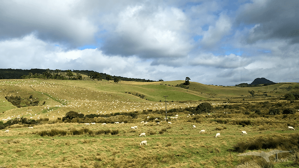 【紐西蘭D24上】因弗卡吉爾Invercargill景點｜燈塔步道+瀑布步道