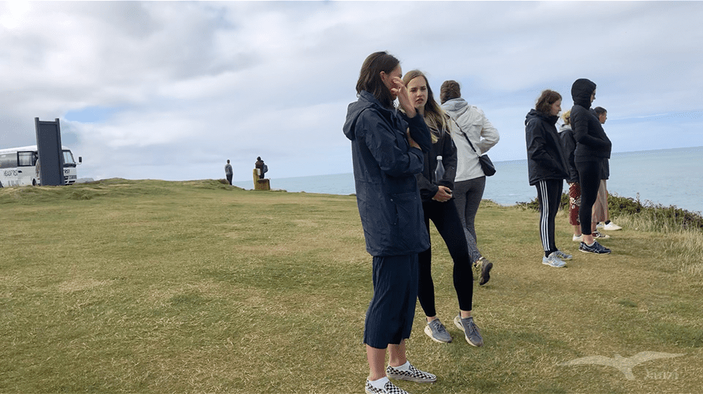 紐西蘭 庫裡歐灣 岬角 NZ Curio Bay The Headland