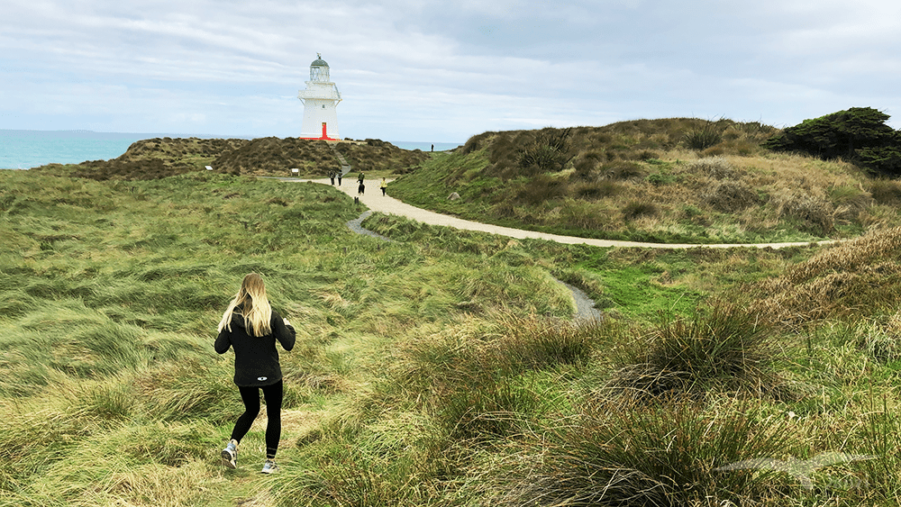 【紐西蘭D24下】布拉夫Bluff|斯特林角Stirling Point+懷帕帕角燈塔 - 第8張圖