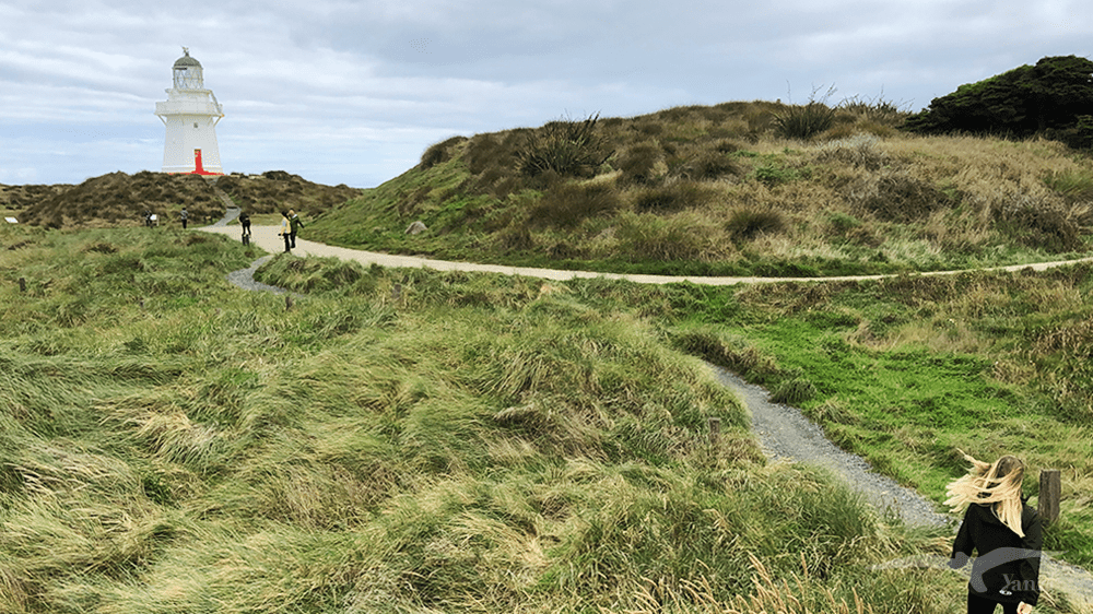 【紐西蘭D24下】布拉夫Bluff|斯特林角Stirling Point+懷帕帕角燈塔 - 第6張圖