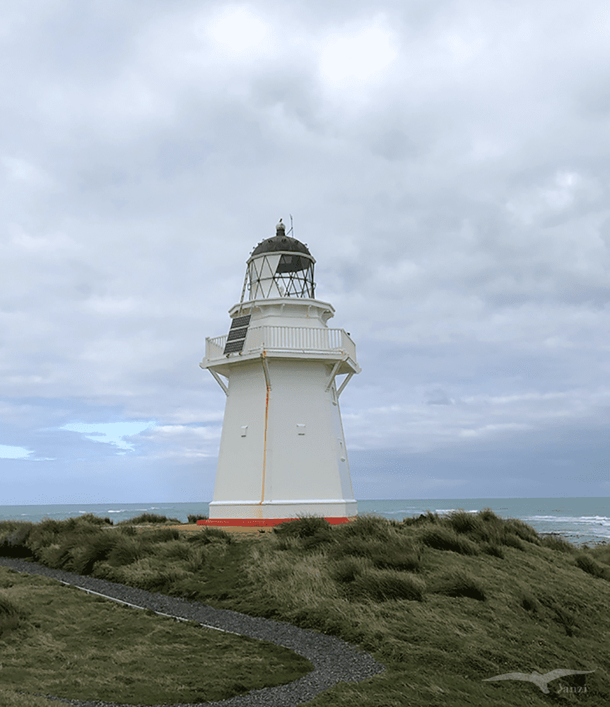 【紐西蘭D24下】布拉夫Bluff|斯特林角Stirling Point+懷帕帕角燈塔 - 第11張圖 紐西蘭 懷帕帕角燈塔 NZ Waipapa Point Lighthouse