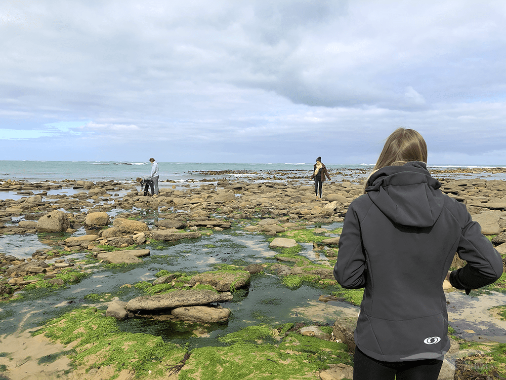 【紐西蘭D24下】布拉夫Bluff|斯特林角Stirling Point+懷帕帕角燈塔 - 第13張圖