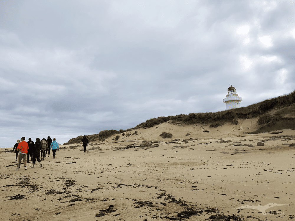 【紐西蘭D24下】布拉夫Bluff|斯特林角Stirling Point+懷帕帕角燈塔 - 第24張圖