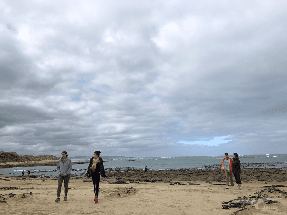 【紐西蘭D24下】布拉夫Bluff|斯特林角Stirling Point+懷帕帕角燈塔 - 第17張圖