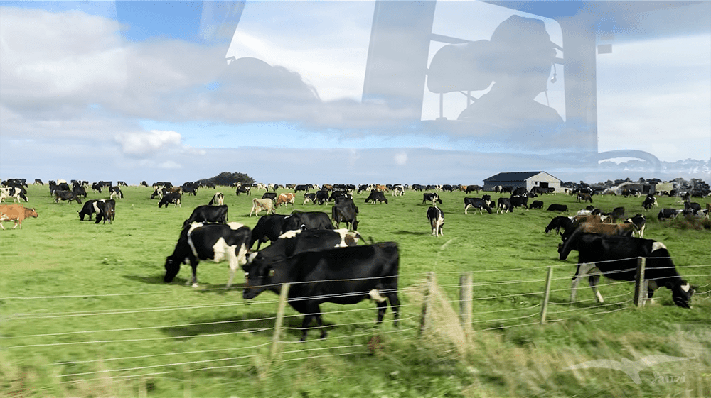 【紐西蘭D24下】布拉夫Bluff｜斯特林角Stirling Point+懷帕帕角燈塔