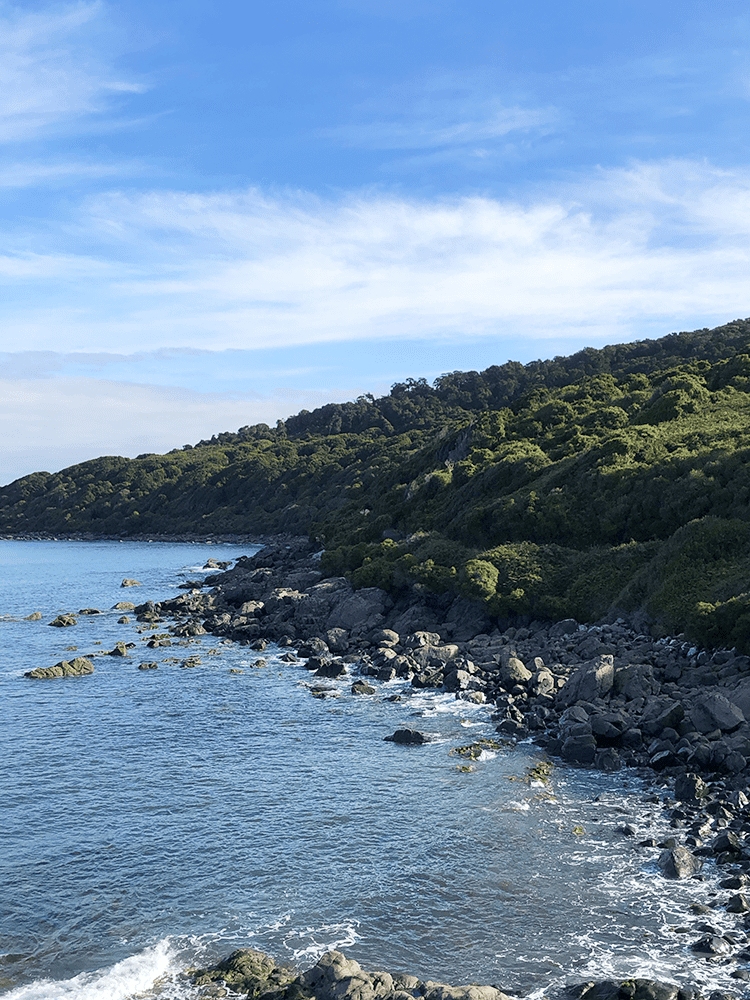 【紐西蘭D24下】布拉夫Bluff|斯特林角Stirling Point+懷帕帕角燈塔 - 第40張圖 紐西蘭布拉夫 斯特林角 NZ Bluff Stirling Point 海景