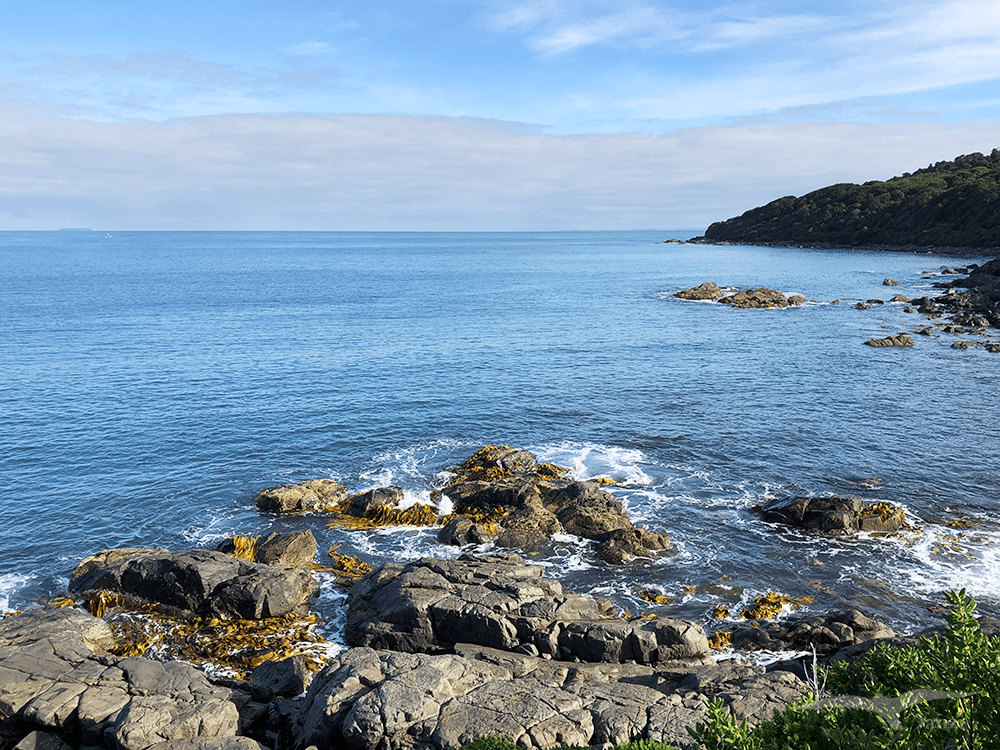 【紐西蘭D24下】布拉夫Bluff|斯特林角Stirling Point+懷帕帕角燈塔 - 第41張圖