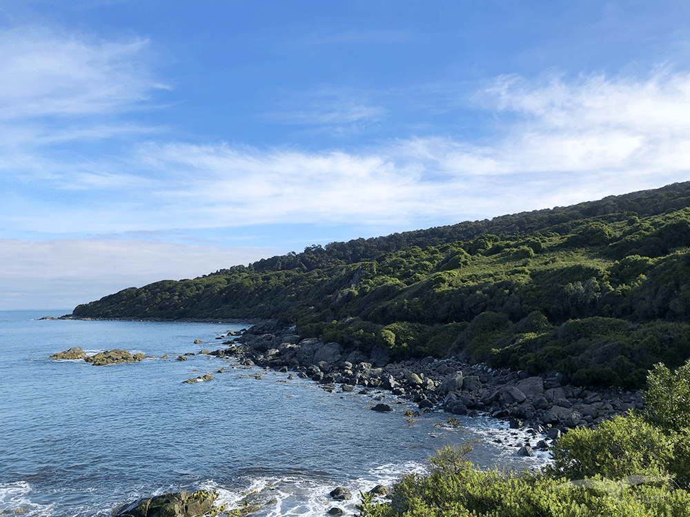 【紐西蘭D24下】布拉夫Bluff|斯特林角Stirling Point+懷帕帕角燈塔 - 第38張圖