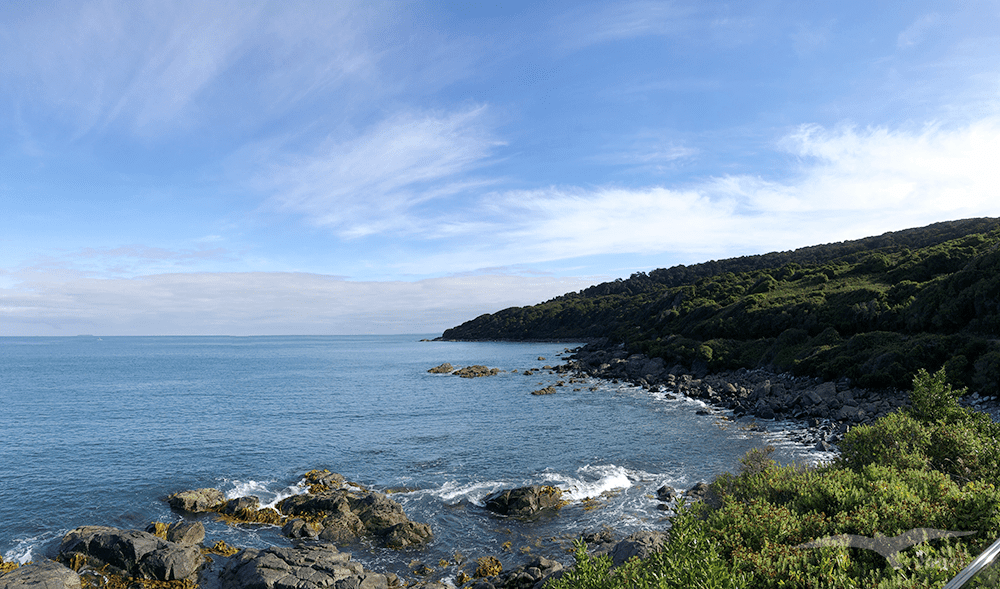 【紐西蘭D24下】布拉夫Bluff|斯特林角Stirling Point+懷帕帕角燈塔 - 第42張圖