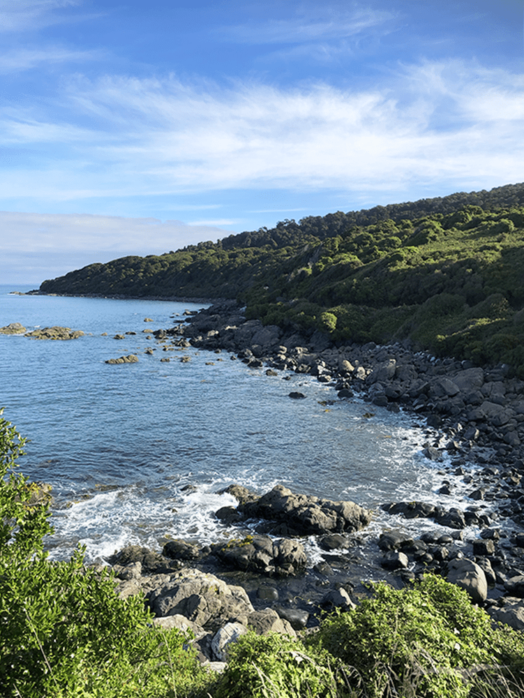 【紐西蘭D24下】布拉夫Bluff|斯特林角Stirling Point+懷帕帕角燈塔 - 第39張圖 紐西蘭布拉夫 斯特林角 NZ Bluff Stirling Point 海景