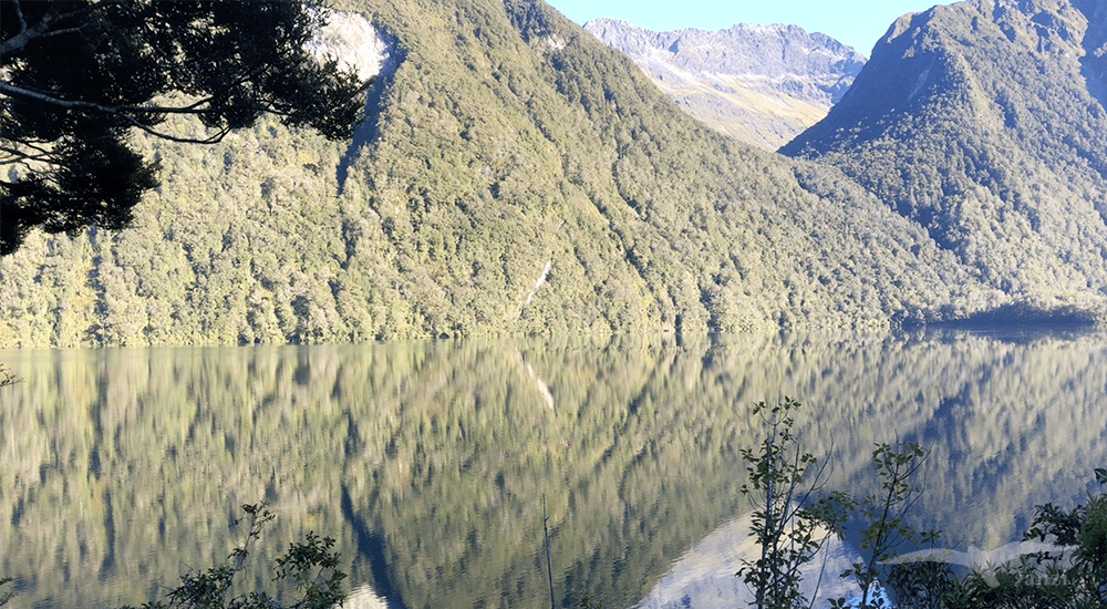 【紐西蘭D25上】蒂阿腦Te Anau～米爾福德峽灣｜沿途公路美景