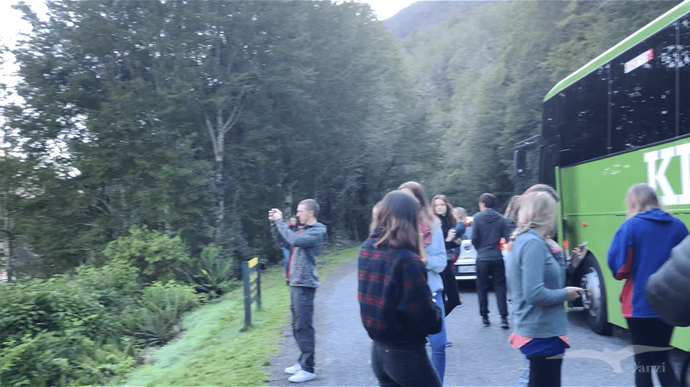 【紐西蘭D25上】蒂阿腦Te Anau～米爾福德峽灣｜沿途公路美景