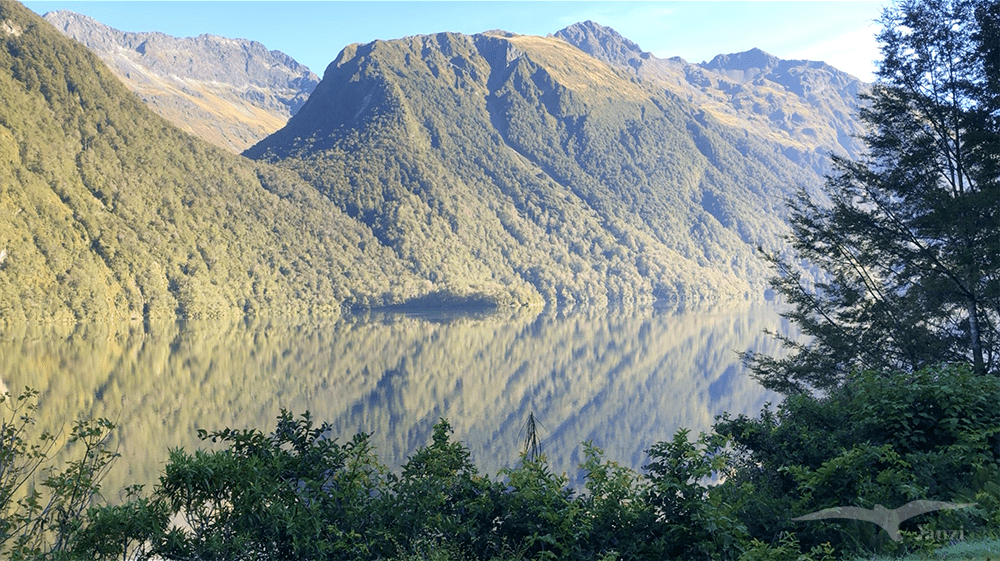 【紐西蘭D25上】蒂阿腦Te Anau～米爾福德峽灣｜沿途公路美景