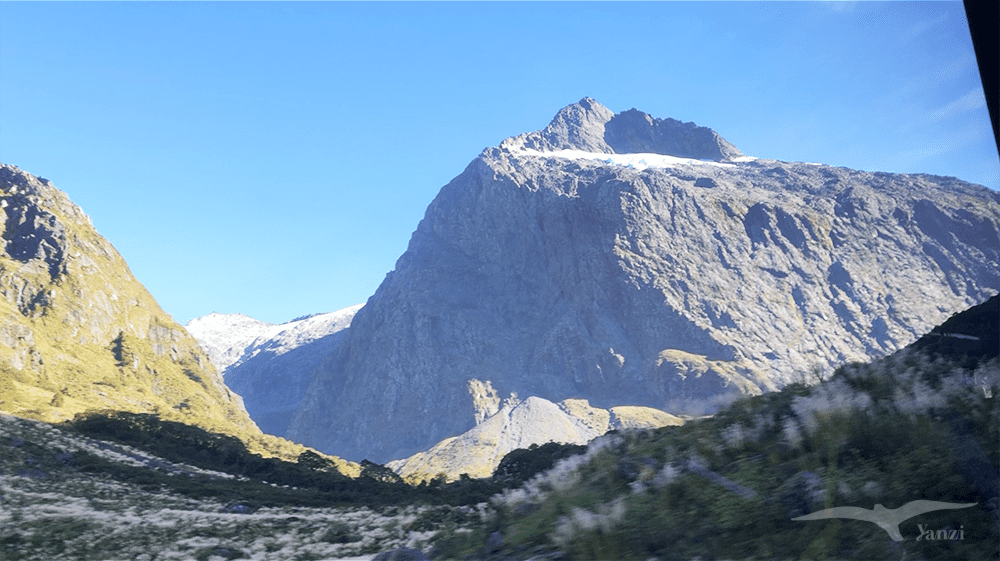 【紐西蘭D25上】蒂阿腦Te Anau～米爾福德峽灣｜沿途公路美景