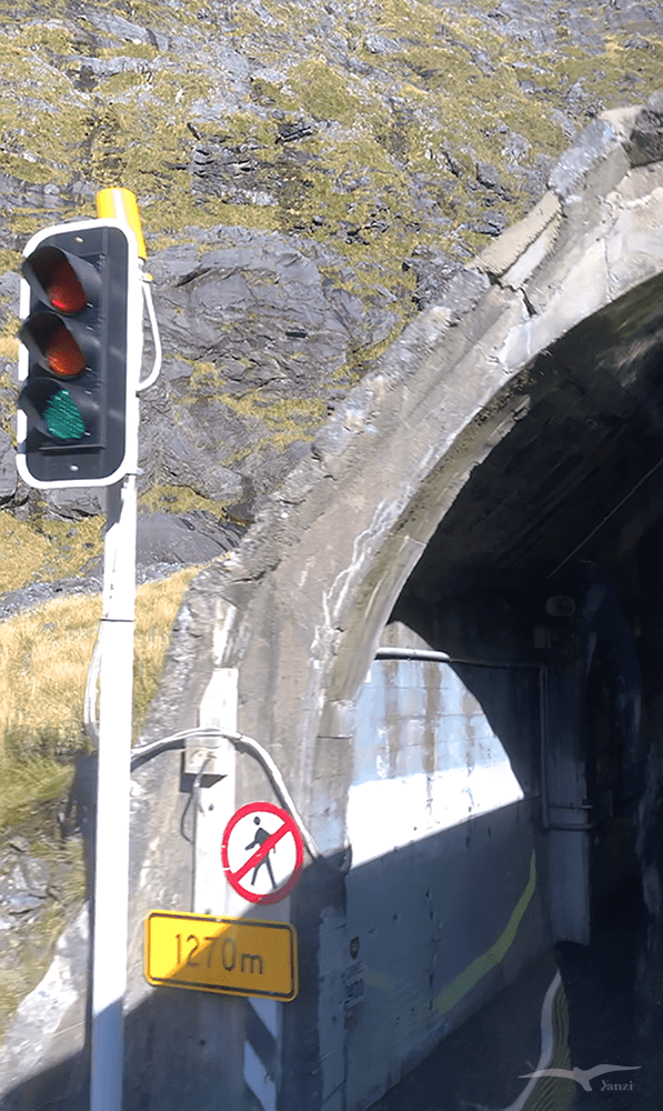 紐西蘭 南島 荷馬隧道 New Zealand Homer tunnel