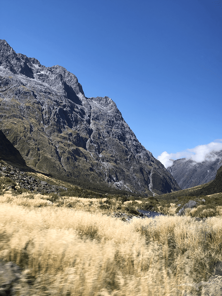紐西蘭 南島 觀景台 New Zealand Gertrude Valley Lookout