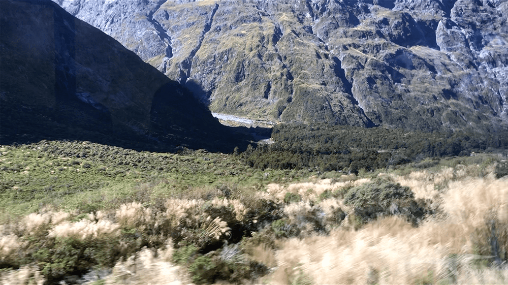 【紐西蘭D25上】蒂阿腦Te Anau～米爾福德峽灣｜沿途公路美景