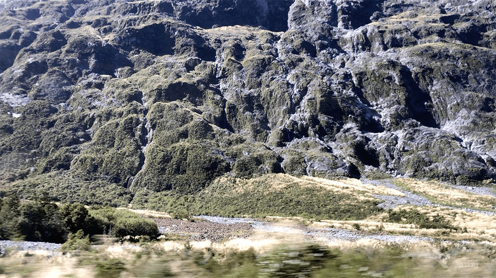 【紐西蘭D25上】蒂阿腦Te Anau～米爾福德峽灣｜沿途公路美景