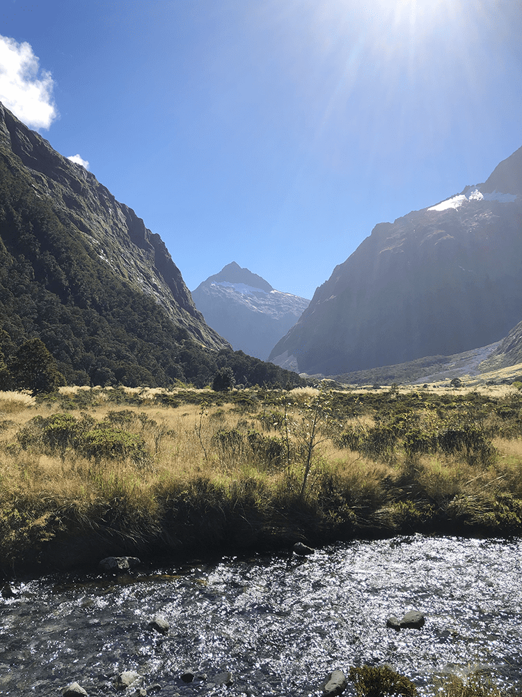 紐西蘭 南島 猴溪 New Zealand Monkey Creek