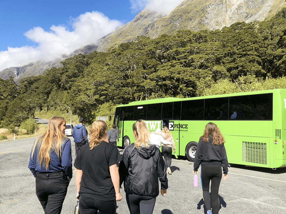 紐西蘭 南島 猴溪 New Zealand Monkey Creek Kiwi Experience